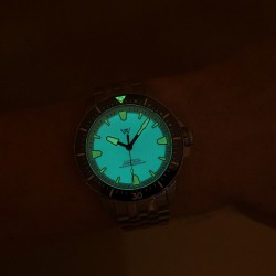 Fully lumed dial WM211